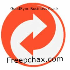 GoodSync Business Crack 