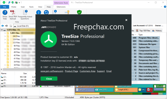 TreeSize Professional License key